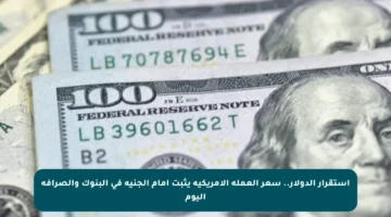 استقرار الدولار.. سعر العملة الأمريكية يثبت أمام الجنيه في البنوك والصرافة اليوم